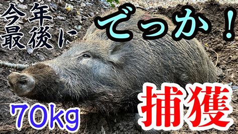 獣姦 セックス|獣姦ビデオでイノシシが田舎の住人と交尾する